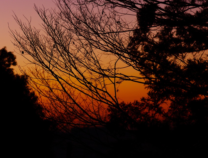 f0179061_1655517.jpg