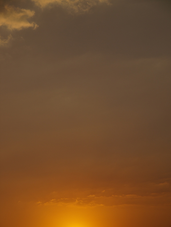 a0260570_1733314.jpg