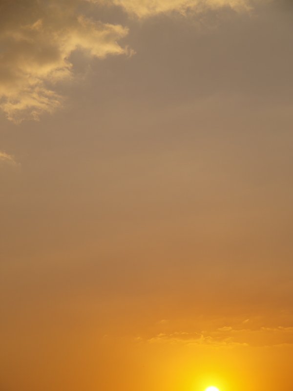 a0260570_1734867.jpg