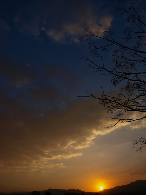 a0260570_174102.jpg