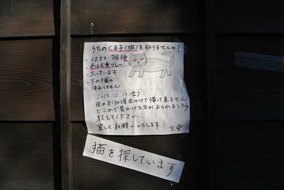 e0025873_16295947.jpg