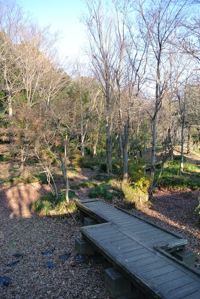 e0025873_163055100.jpg