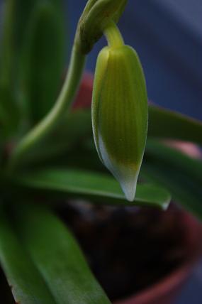 c0204385_22545520.jpg