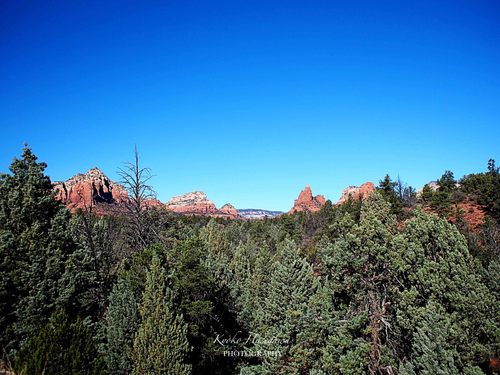 e0148185_1483921.jpg