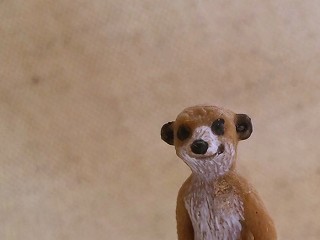 b0185290_18105977.jpg