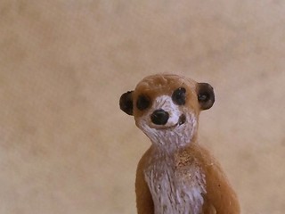 b0185290_18112625.jpg