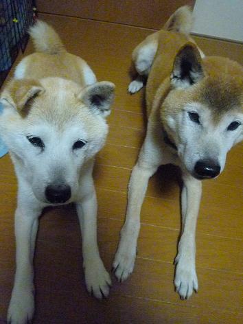 c0123890_2127979.jpg