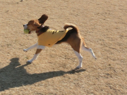 a0319693_12521148.jpg