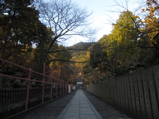 d0055395_2314411.jpg