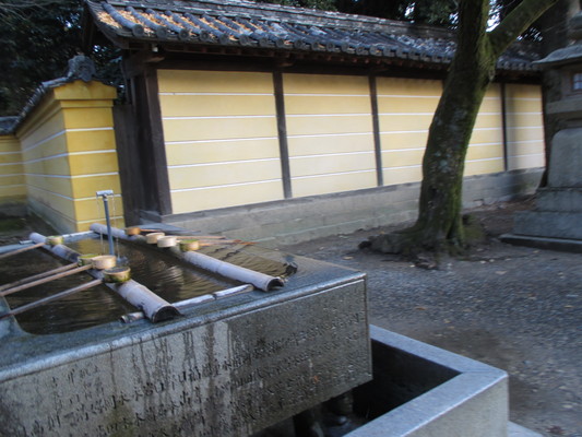 d0055395_2315070.jpg
