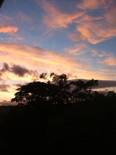 e0017396_10372212.jpg