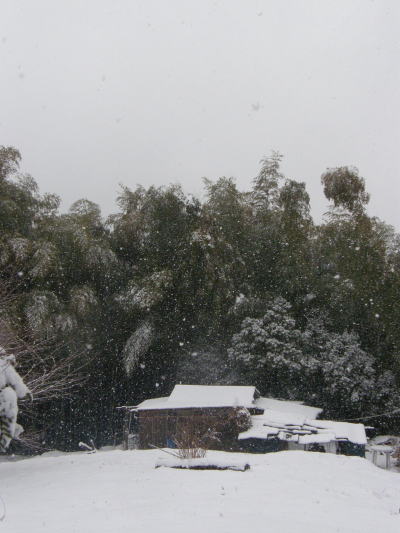 e0017396_1054654.jpg