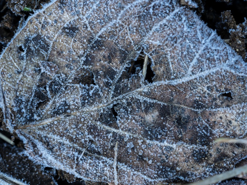 f0224100_23142138.jpg