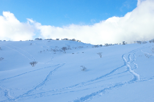 e0304001_22261343.jpg