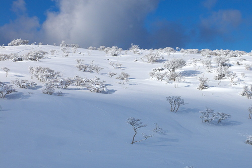 e0304001_22263220.jpg