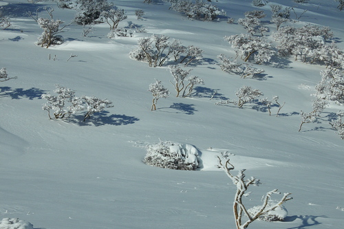 e0304001_22265638.jpg