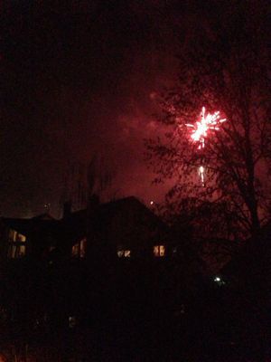 f0248903_16554081.jpg