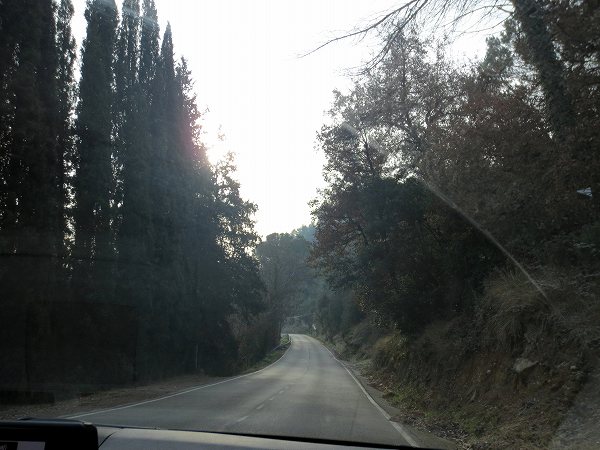 b0064411_00592004.jpg