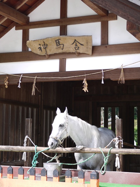 f0274713_11242645.jpg