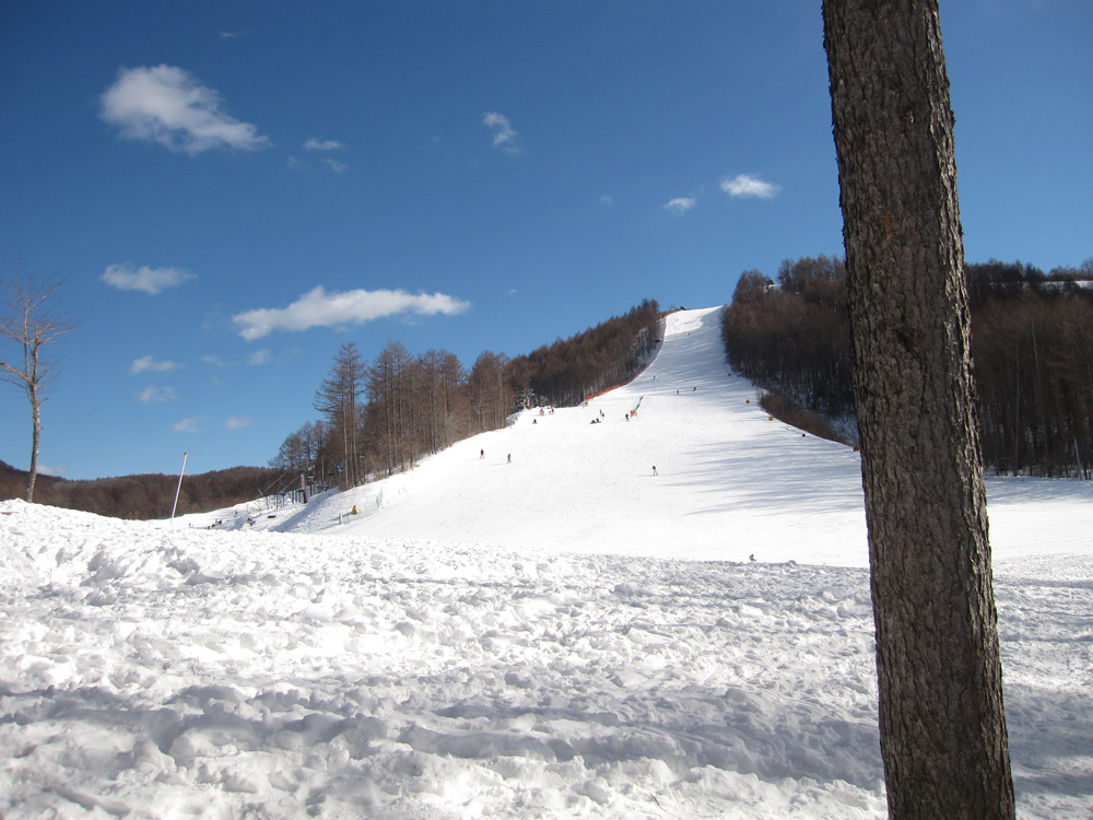 e0244621_21521669.jpg