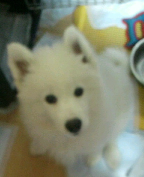 e0024126_2461223.jpg