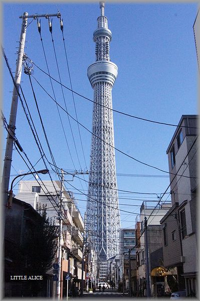 c0080132_20272326.jpg