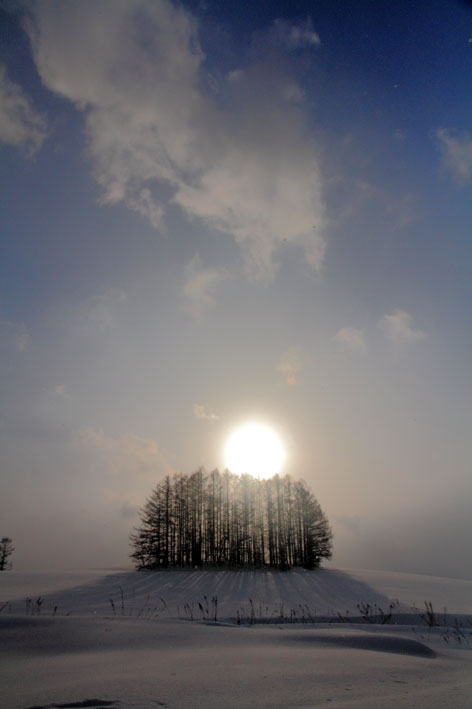 d0069235_22555283.jpg