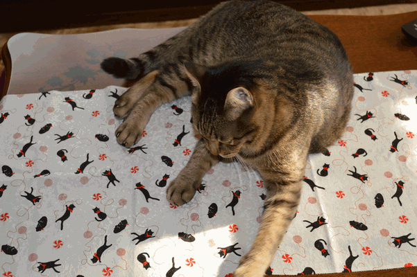 c0136736_10471432.gif