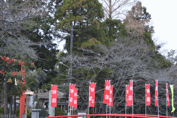 c0136736_10522547.gif