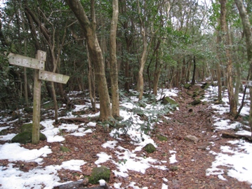 c0077338_531376.jpg