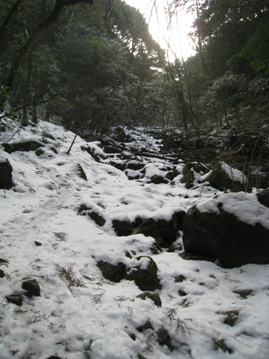 c0077338_5321750.jpg