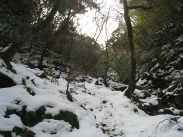 c0077338_5324162.jpg