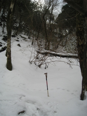 c0077338_5324333.jpg