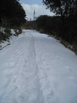 c0077338_533353.jpg