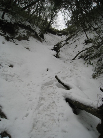 c0077338_533899.jpg