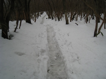 c0077338_534088.jpg