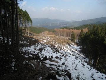 c0077338_53424100.jpg
