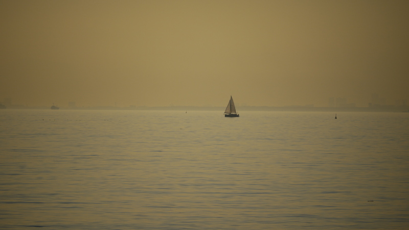 b0190242_21465352.jpg