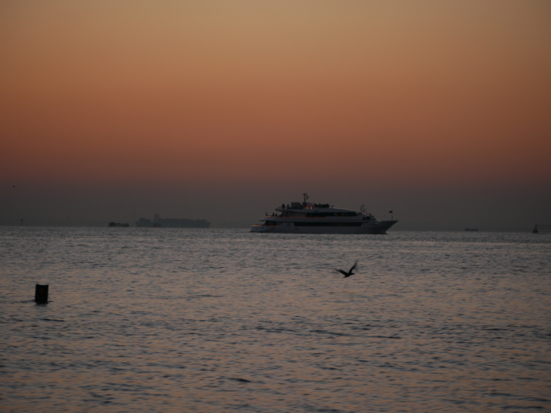 b0190242_21544481.jpg