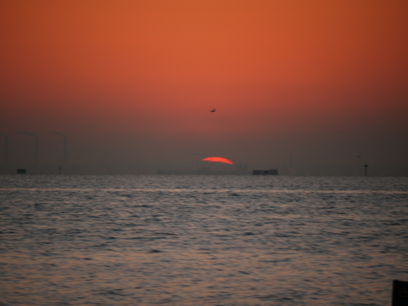b0190242_215534100.jpg