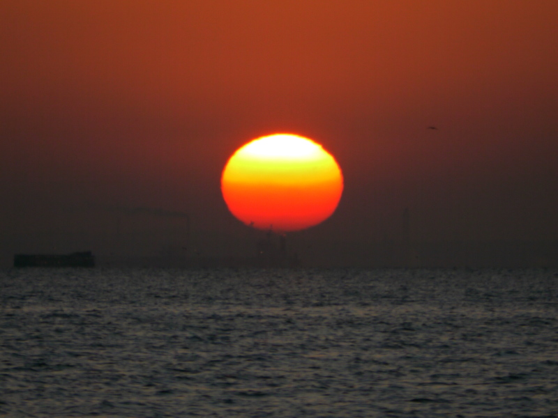 b0190242_21573379.jpg