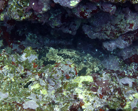f0014842_200780.jpg