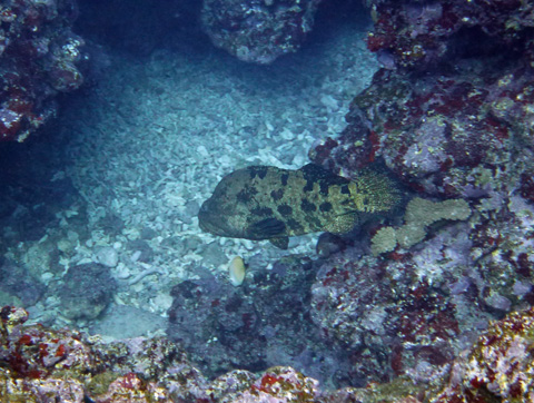 f0014842_2035444.jpg
