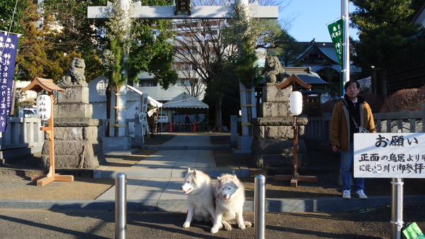 e0121548_19502126.jpg