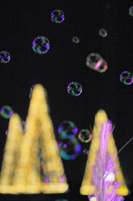 c0268775_13210281.jpg