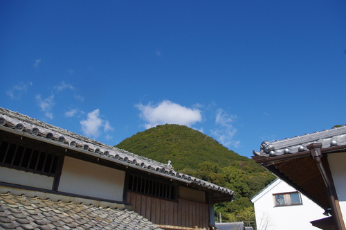 f0054677_8541923.jpg