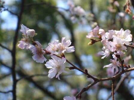 f0039281_16102372.jpg