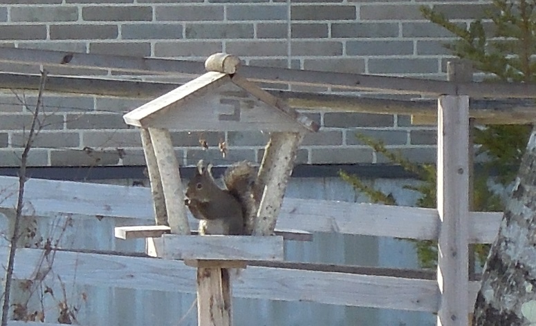 f0045283_12192153.jpg