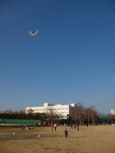 a0257385_1155491.jpg