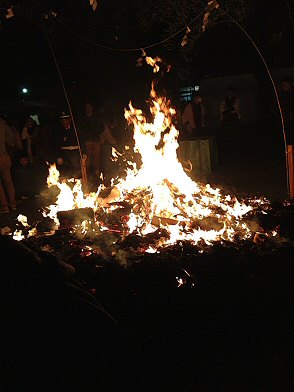 c0014187_16294615.jpg